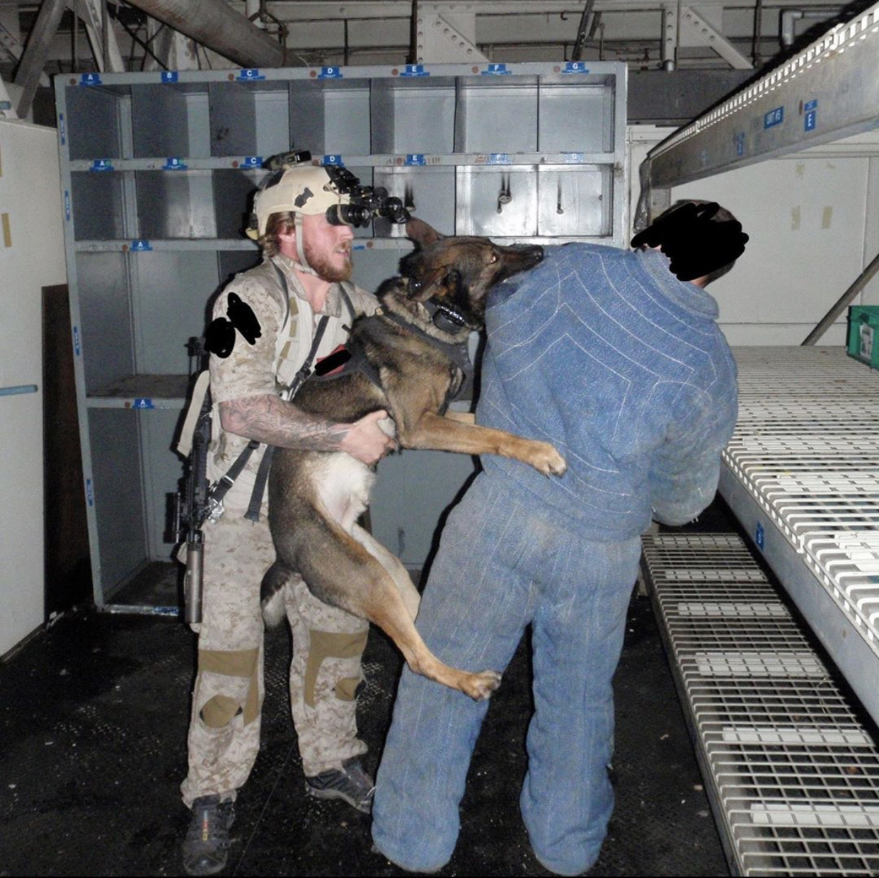 ESSENTIALS TO KNOW FOR BECOMING A DOG HANDLER IN SPECIAL OPERATIONS